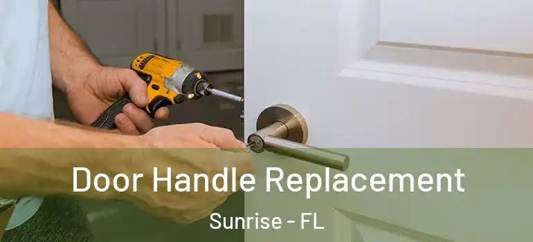  Door Handle Replacement Sunrise - FL