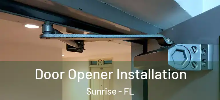  Door Opener Installation Sunrise - FL