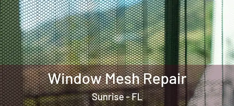  Window Mesh Repair Sunrise - FL